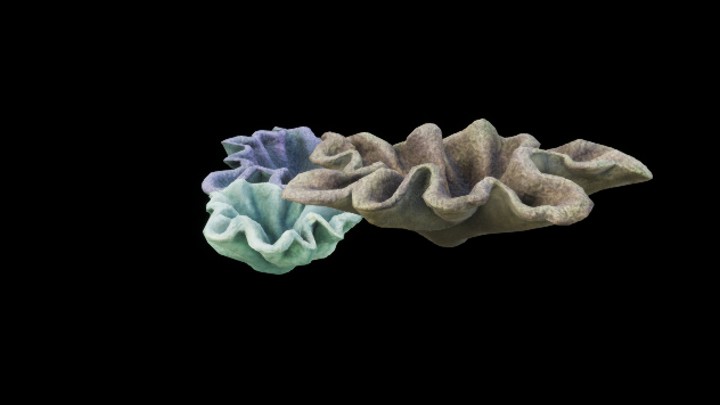 UE项目资源_模型资源_珊瑚109