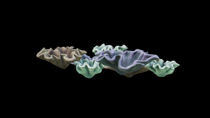 UE项目资源_模型资源_珊瑚110