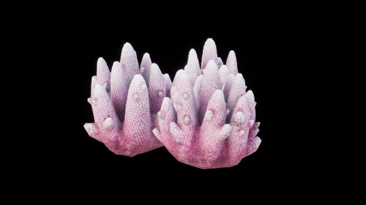 UE项目资源_模型资源_珊瑚125