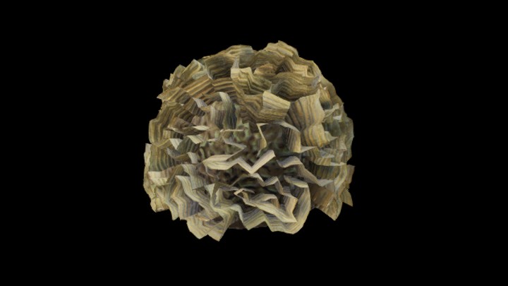 UE项目资源_模型资源_珊瑚131