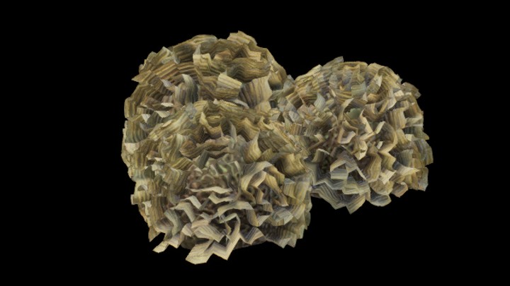 UE项目资源_模型资源_珊瑚132