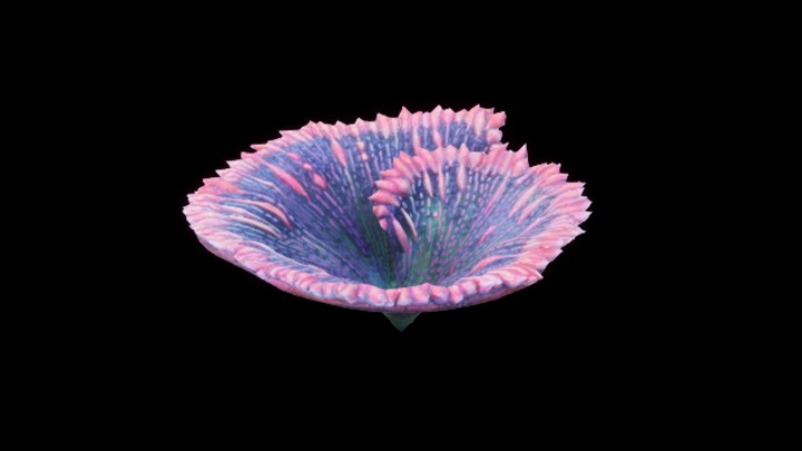 UE项目资源_模型资源_珊瑚144