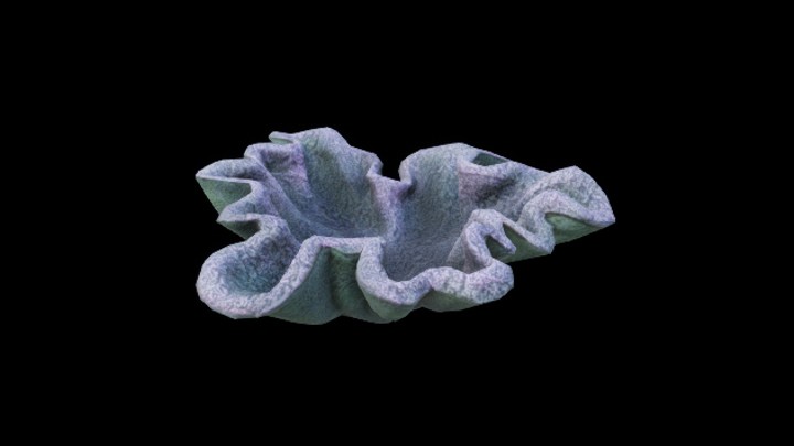 UE项目资源_模型资源_珊瑚145