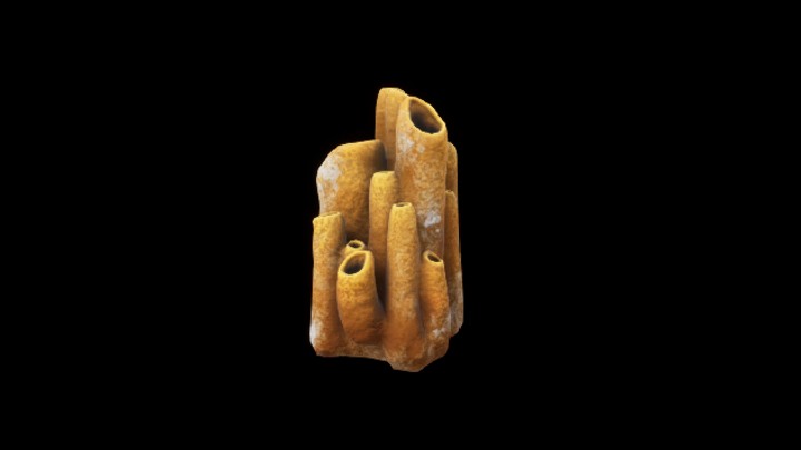 UE项目资源_模型资源_珊瑚155