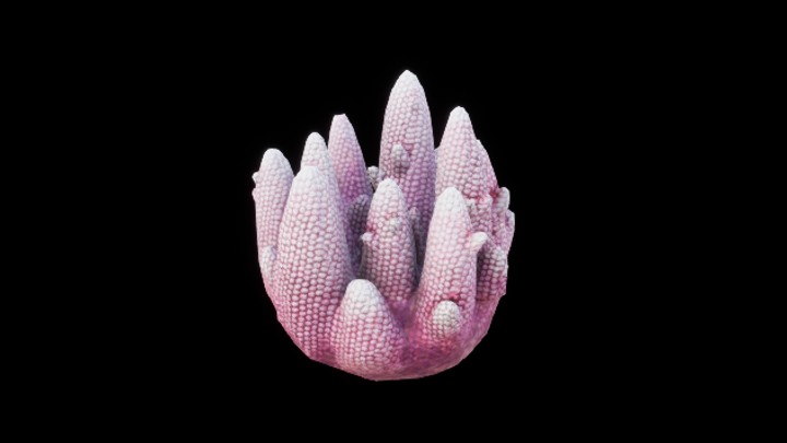 UE项目资源_模型资源_珊瑚159