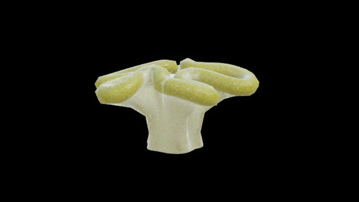 UE项目资源_模型资源_珊瑚183