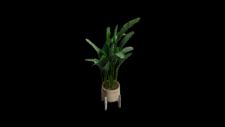 UE项目资源_模型资源_盆栽123