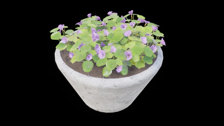 UE项目资源_模型资源_盆栽143