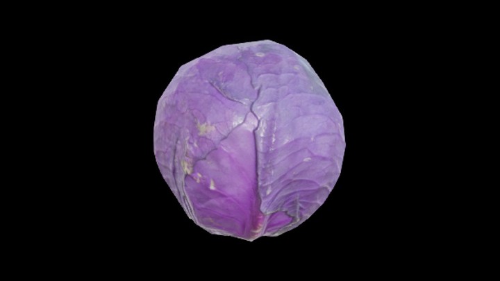 UE项目资源_模型资源_紫甘蓝001