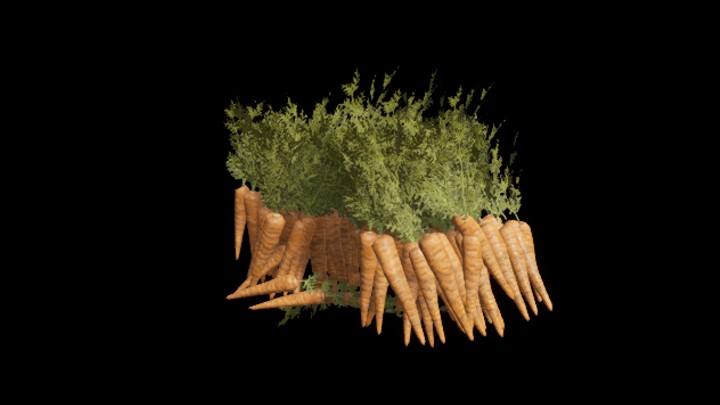 UE项目资源_模型资源_胡萝卜006