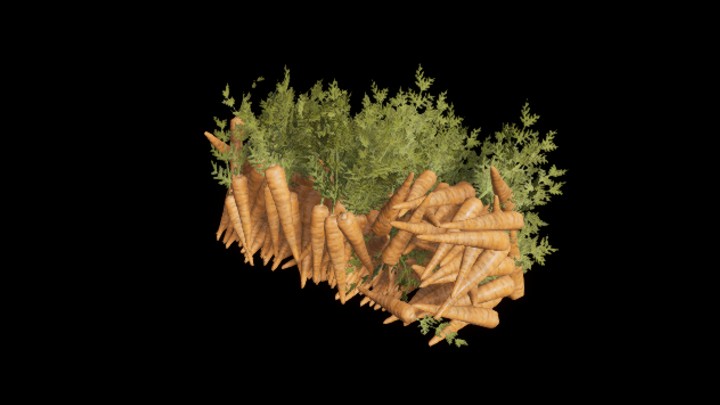 UE项目资源_模型资源_胡萝卜009