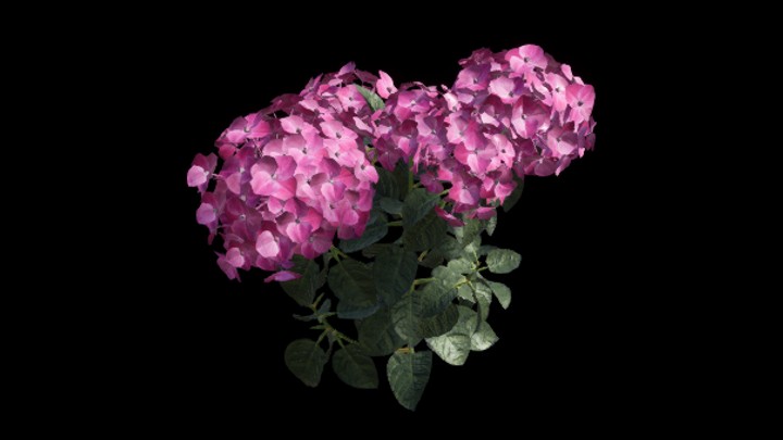 UE项目资源_模型资源_花166