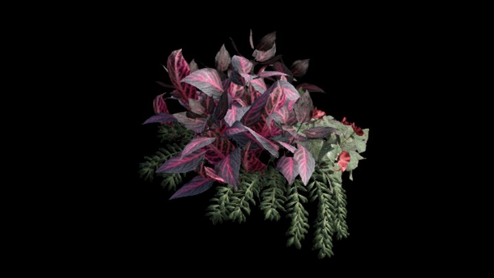 UE项目资源_模型资源_花171