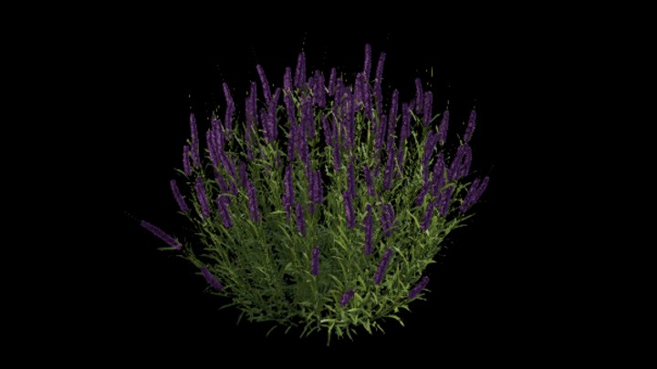 UE项目资源_模型资源_花175