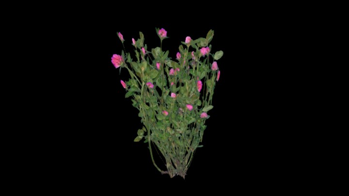 UE项目资源_模型资源_花181