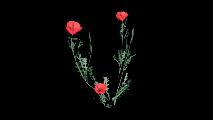 UE项目资源_模型资源_花189