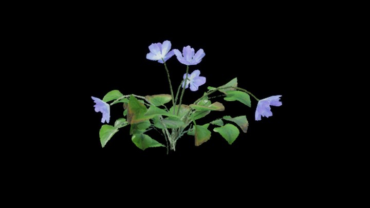 UE项目资源_模型资源_花196