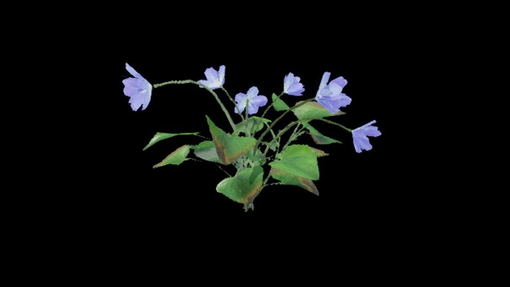 UE项目资源_模型资源_花197