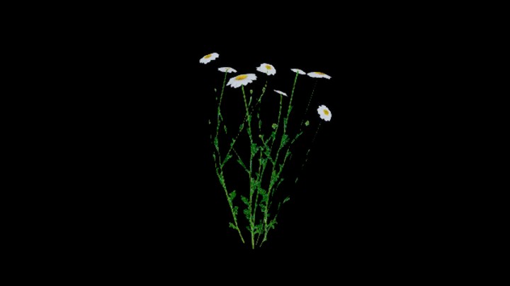 UE项目资源_模型资源_花229