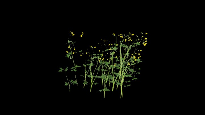 UE项目资源_模型资源_花310