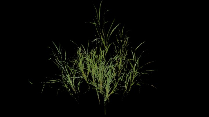 UE项目资源_模型资源_草637