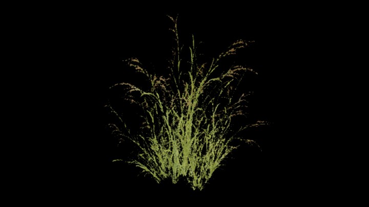 UE项目资源_模型资源_草649