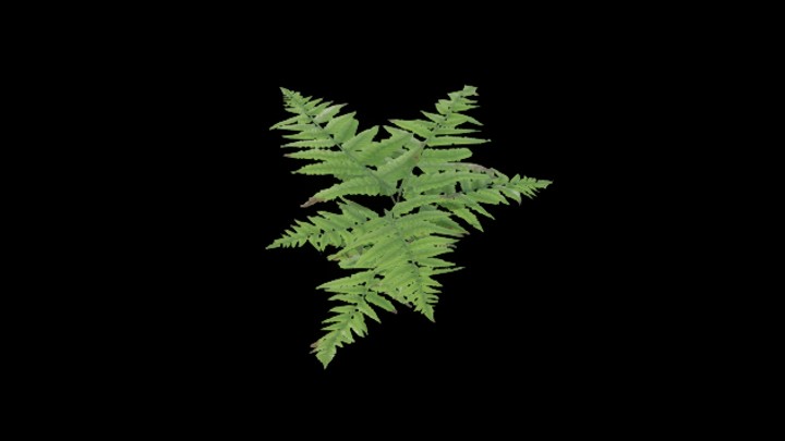 UE项目资源_模型资源_草660