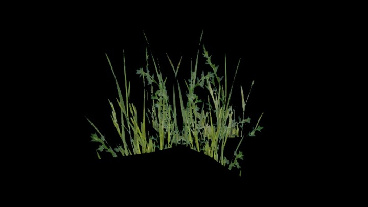 UE项目资源_模型资源_草667