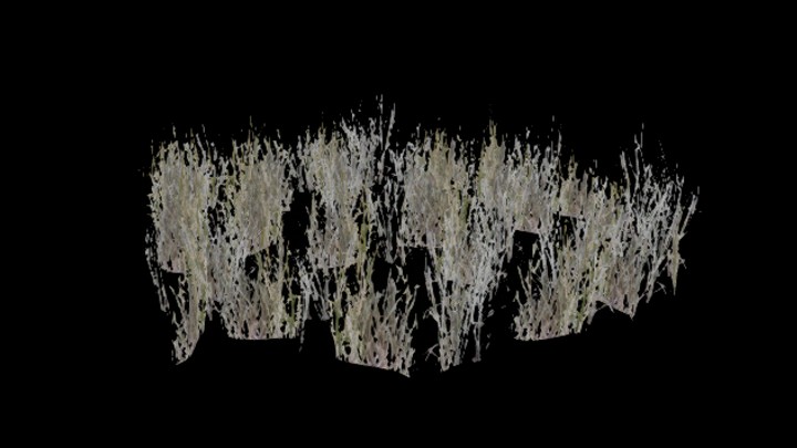 UE项目资源_模型资源_草668