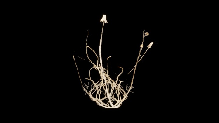 UE项目资源_模型资源_草688