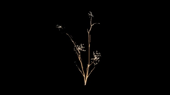 UE项目资源_模型资源_草689