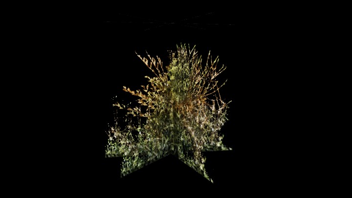 UE项目资源_模型资源_草699