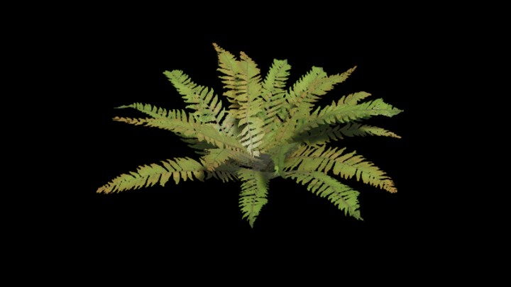 UE项目资源_模型资源_草703