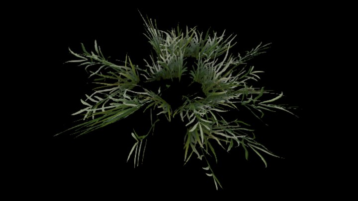 UE项目资源_模型资源_草727