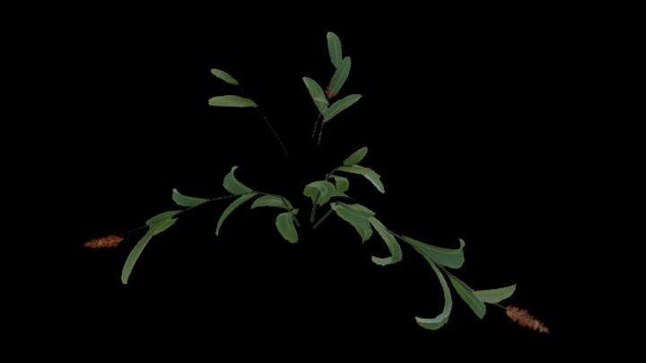 UE项目资源_模型资源_草730