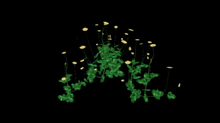 UE项目资源_模型资源_草746