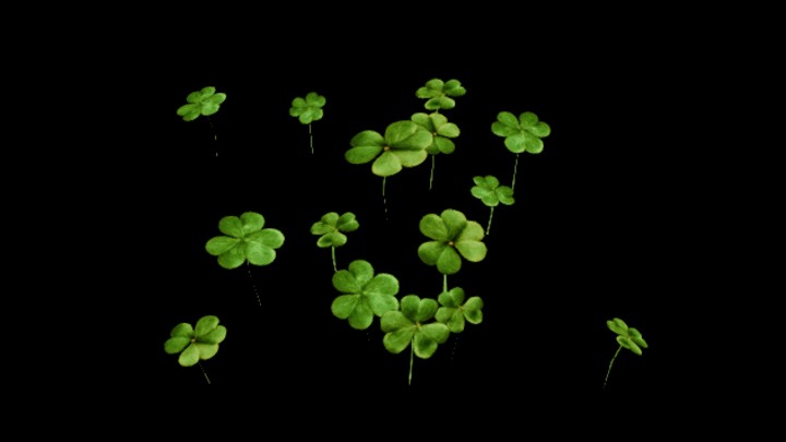 UE项目资源_模型资源_草748