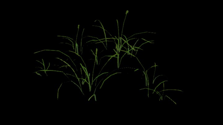 UE项目资源_模型资源_草751