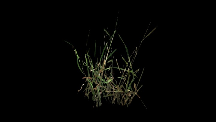 UE项目资源_模型资源_草756