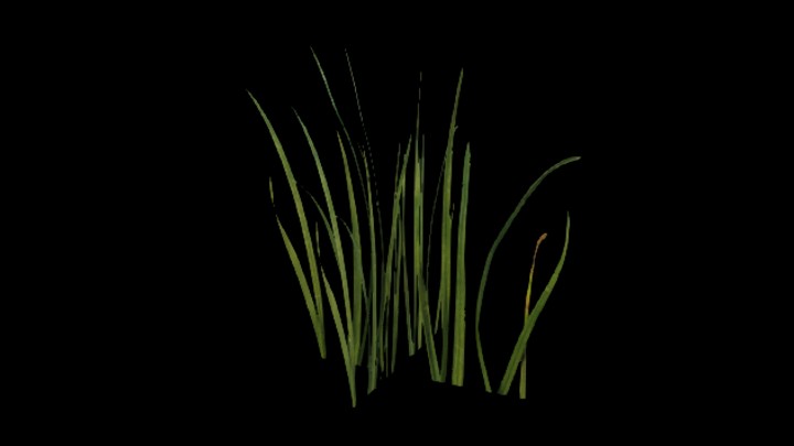 UE项目资源_模型资源_草758