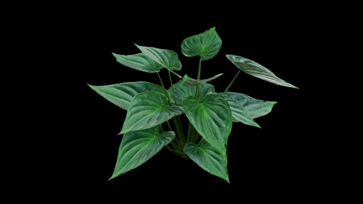 UE项目资源_模型资源_草770