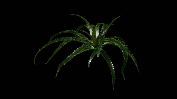 UE项目资源_模型资源_草787