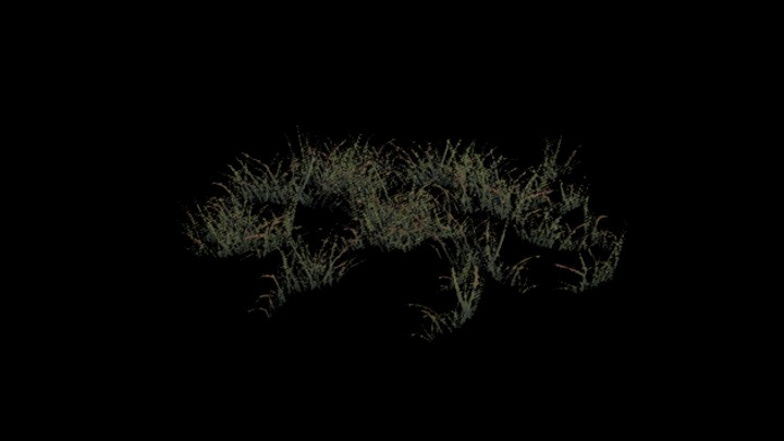 UE项目资源_模型资源_草788