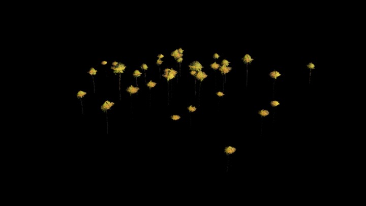 UE项目资源_模型资源_草793