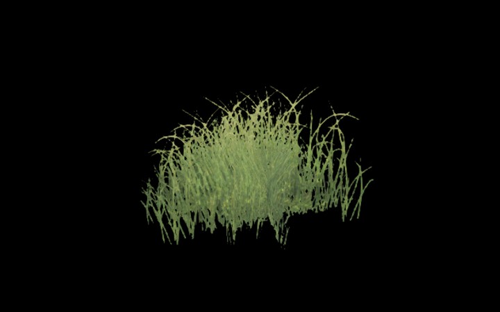 UE项目资源_模型资源_草798