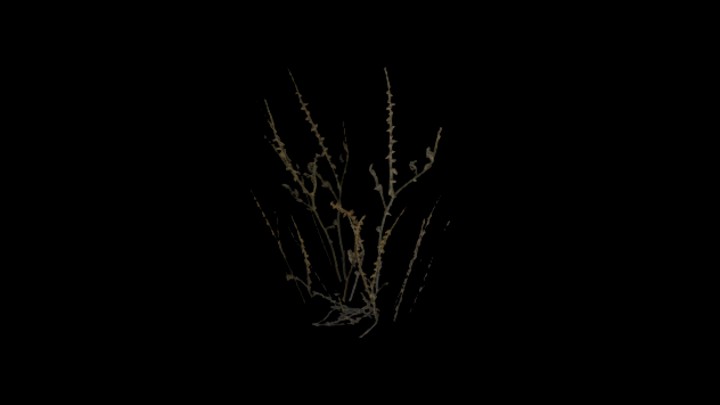 UE项目资源_模型资源_草814