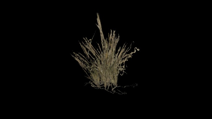 UE项目资源_模型资源_草818