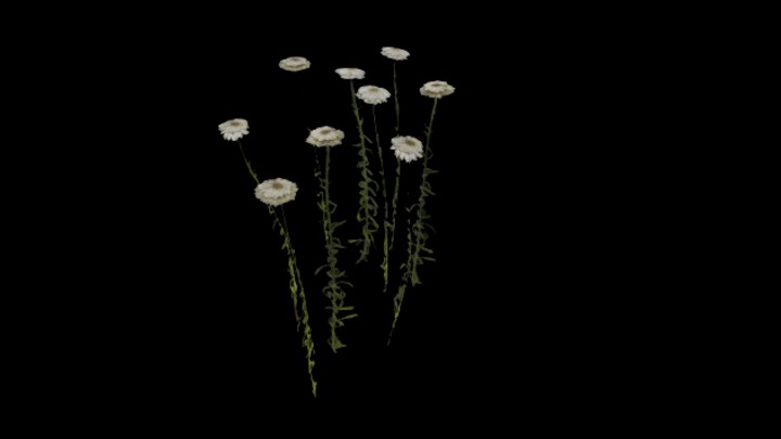 UE项目资源_模型资源_草819