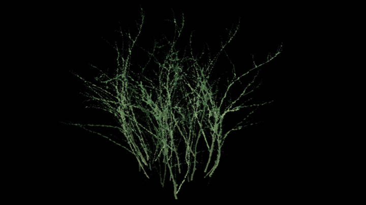 UE项目资源_模型资源_草832