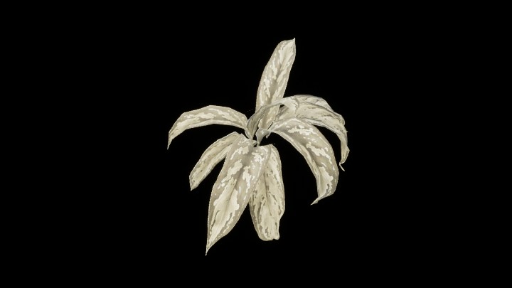 UE项目资源_模型资源_草836